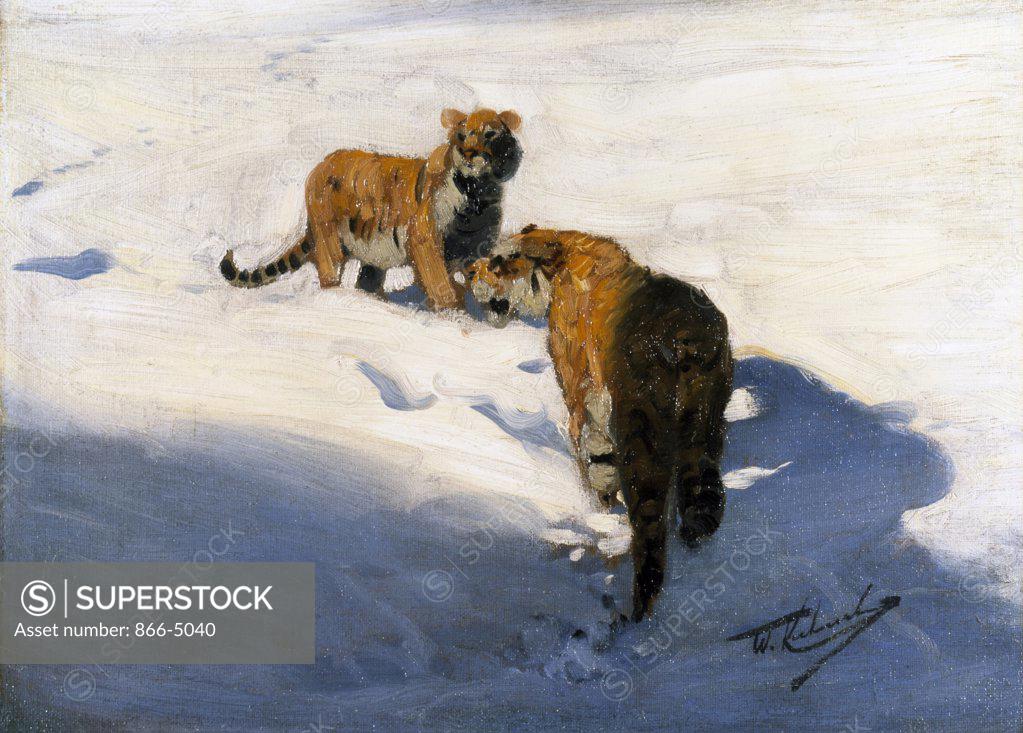 Stock Photo: 866-5040 Two Tigers In The Snow Zwei Tiger Im Schnee C. 1890 Kuhnert, Wilhelm(1865-1926 German) Oil On Board Christie's Images, London, England 