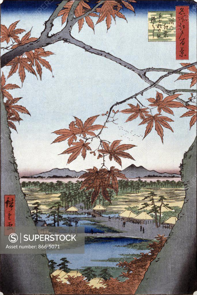Stock Photo: 866-5071 Mama Maple Trees With Tekona Shrine  Hiroshige, Ando(1797-1858 Japanese) Christie's Images, London, England 