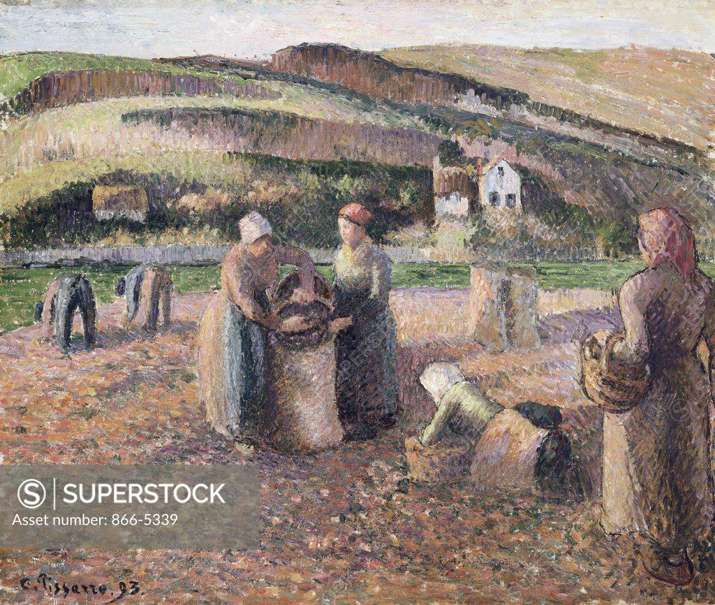 Stock Photo: 866-5339 La Recolte Des Pommes De Terre  1893 Pissarro, Camille(1830-1903 French) Oil On Canvas Christie's Images, London, England 