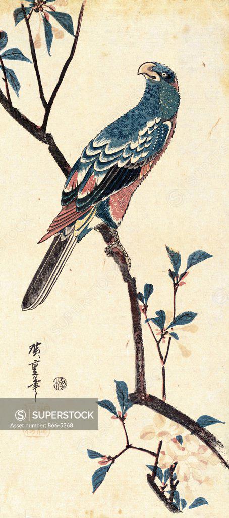 Stock Photo: 866-5368 Study of a Bird Utagawa Hiroshige (1797-1858 Japanese) Print