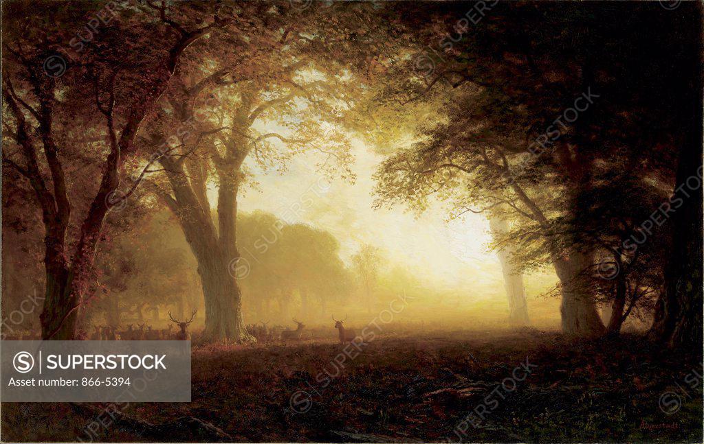 Stock Photo: 866-5394 Golden Light of California Albert Bierstadt (1830-1902 American) Oil on canvas