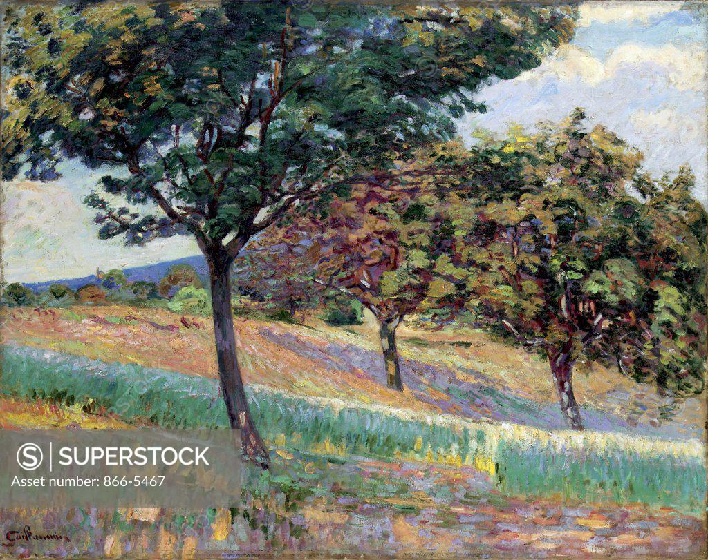 Stock Photo: 866-5467 Verger A La Lisiere D'Un Bois A Saint-Cheron 1893 Armand Guillaumin (1841-1927 French) Oil on canvas
