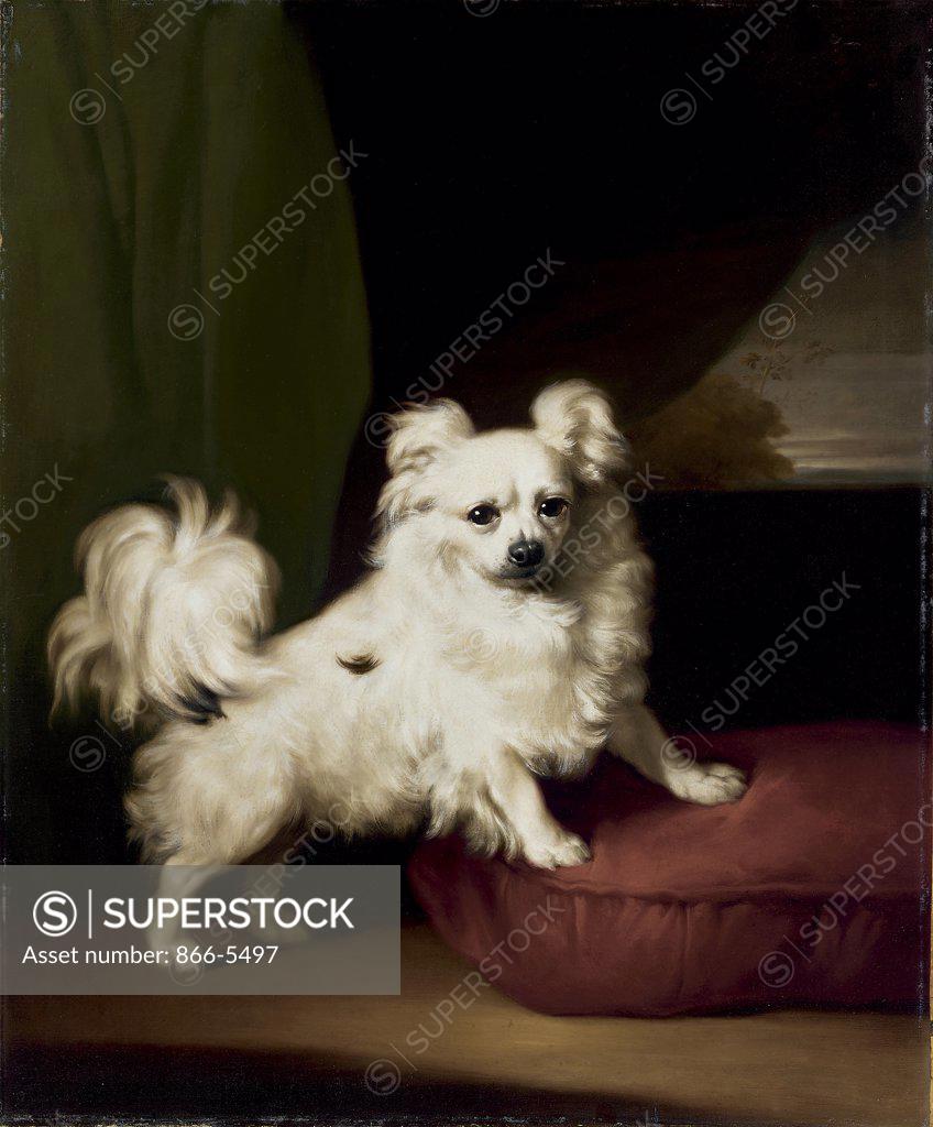 Stock Photo: 866-5497 A White Papillon Standing On A Cushion Henry Bernard Chalon (1770-1849 British) Oil on canvas