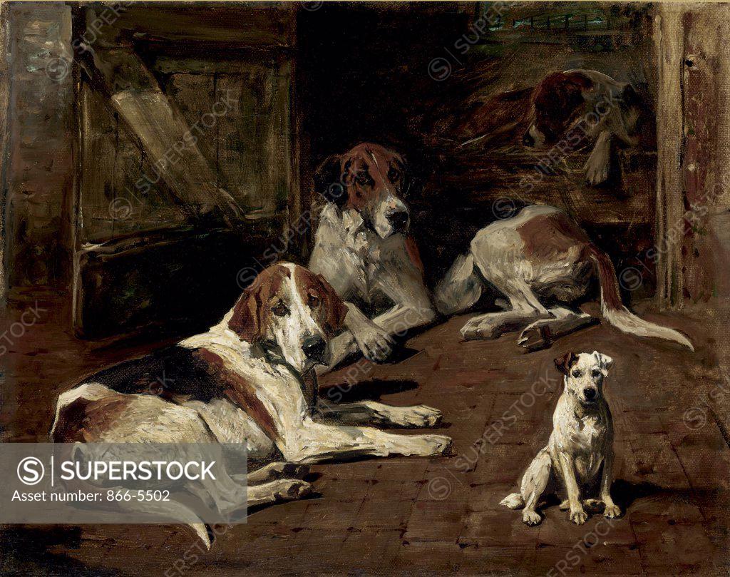 Stock Photo: 866-5502 Fox Hounds and a Terrier John Emms (1843-1912 British) Oil on canvas