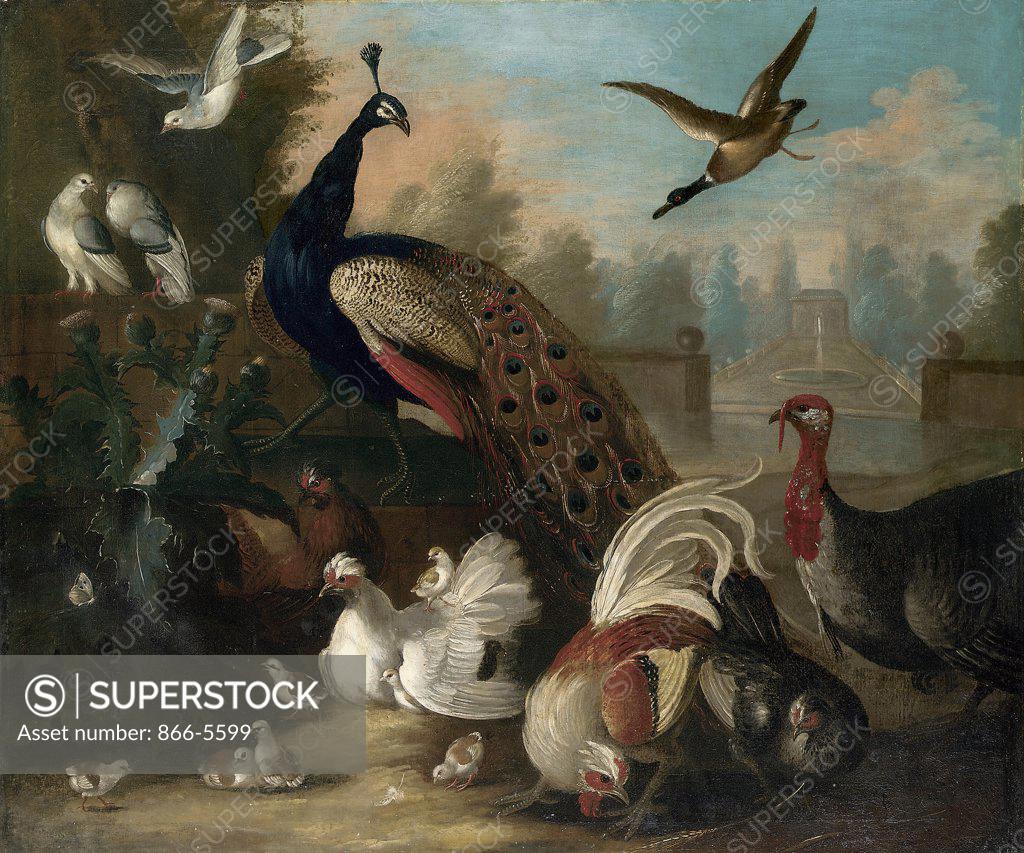 Stock Photo: 866-5599 A Peacock and other Birds in an Ornamental Landscape Marmaduke(Attributed) Craddock (ca.1660-1717 British) Oil on canvas
