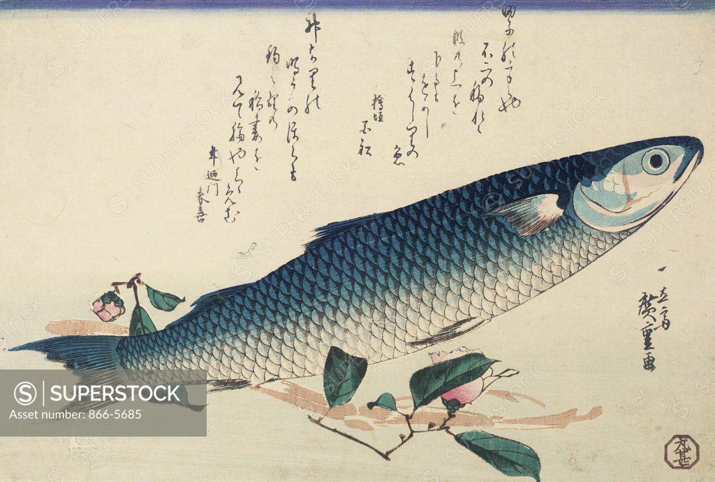Stock Photo: 866-5685 Design from a Large Fish Series, Signed Ichiryusai Hiroshige GA,Oban Yoko - E Utagawa Hiroshige (1797-1858 Japanese)