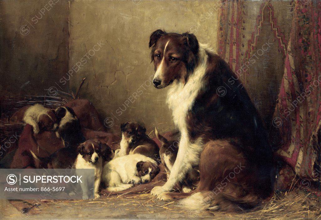 Stock Photo: 866-5697 A Collie With Her Puppies Otto Eerelman (1839-1926 Dutch) Oil on canvas