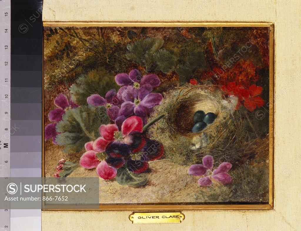 Stock Photo: 866-7652 A bird's nest and geraniums. Oliver Clare (1853-1927). Oil on canvas, 20.3 x 25 .7cm.