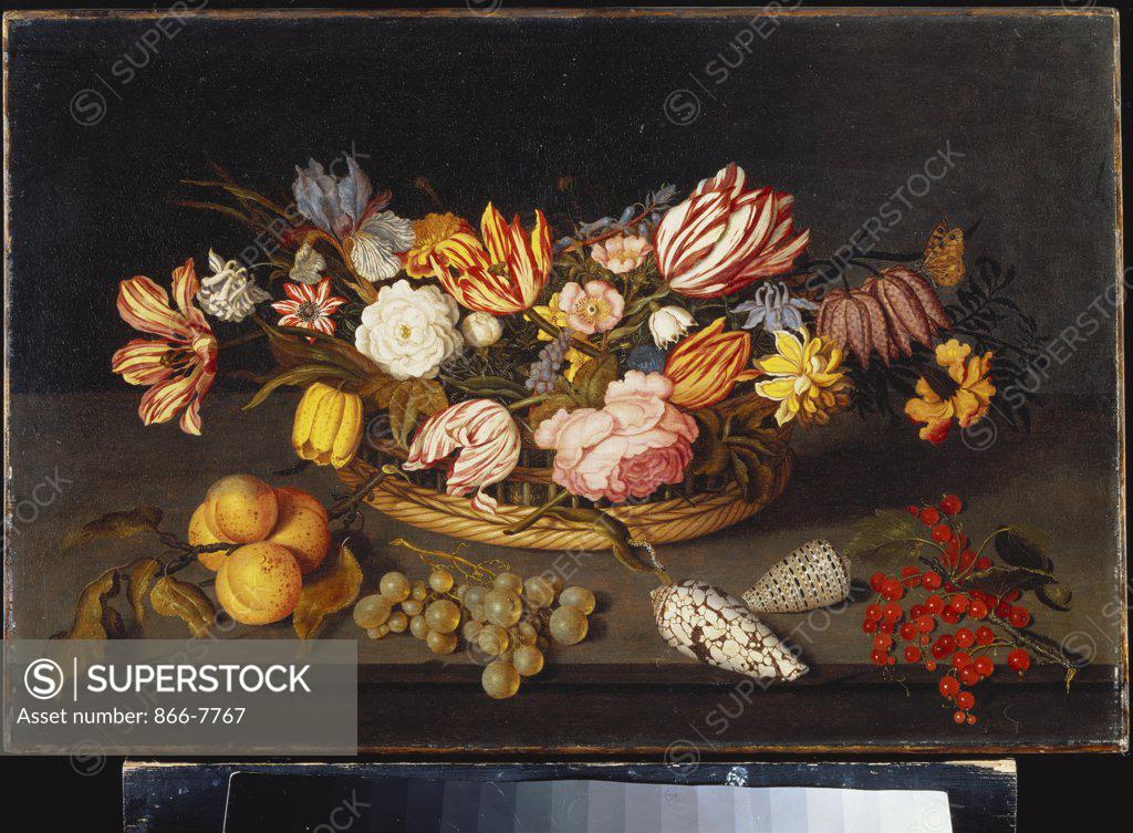 Stock Photo: 866-7767 Tulips, Roses, an Iris, Fritillary and other Flowers in a Basket, with Shells, a Bunch of Grapes and Sprigs of Apricots and Redcurrants on a Stone Ledge. Johannes Bosschaert (1610/11-1628 or later). Dated 1624, oil on inset panel, 36.5 x 54.6cm.