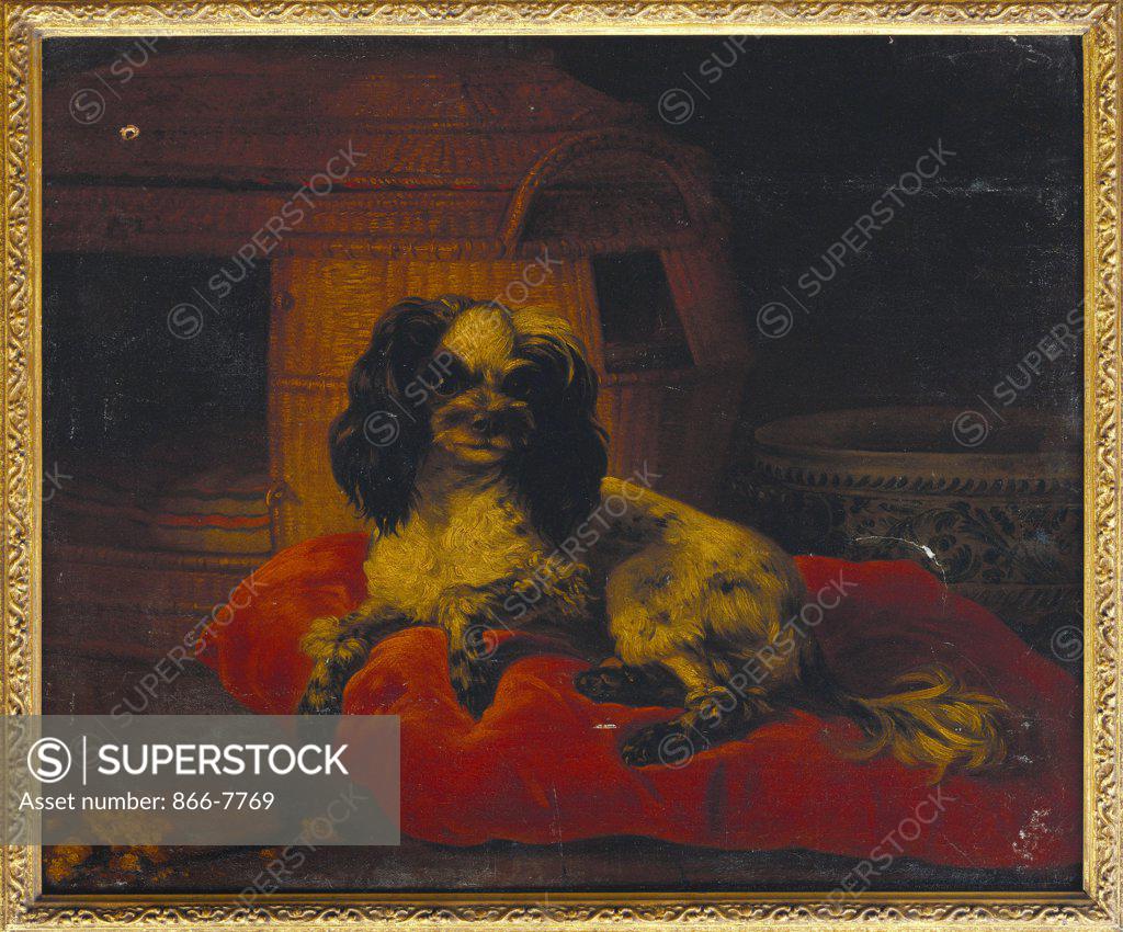 Stock Photo: 866-7769 A Spaniel on a Cushion with a Dog Basket and a Porcelain Bowl. Attributed to Giacomo Ceruti, il Pitocchetto (1698-1767). Oil on canvas, 50.5 x 60.5cm.