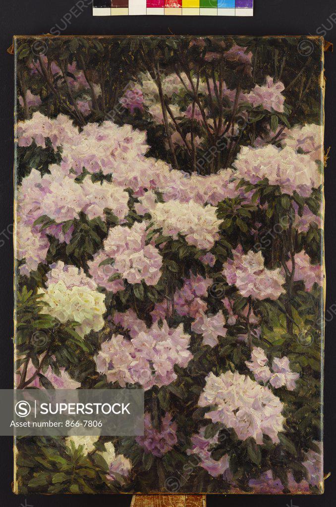 Stock Photo: 866-7806 Rhododendrons. Alfrida Baadsgaard (1839-1912). Oil on canvas, 1890. 57.8 x 39.9cm.