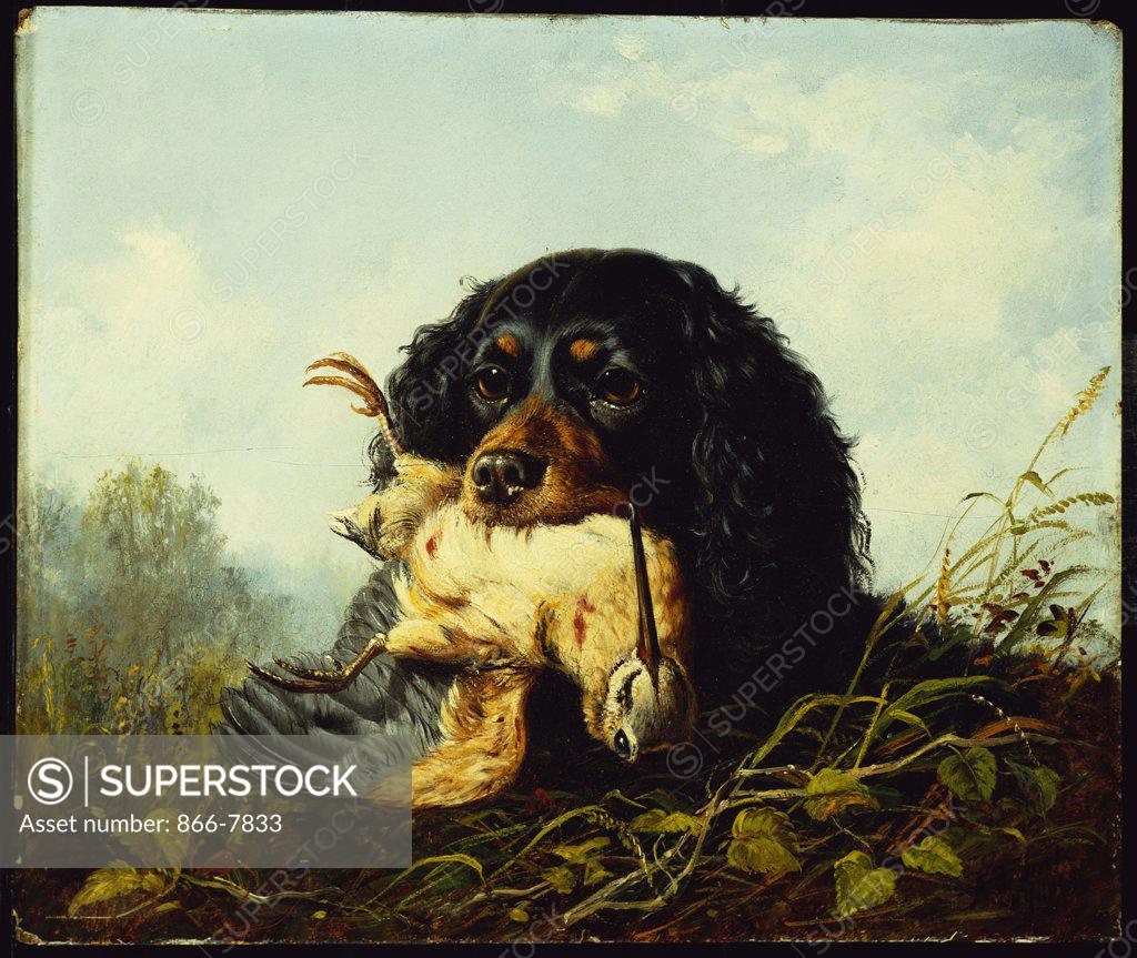 Stock Photo: 866-7833 A Cocker Spaniel with a Woodcock. Arthur Fitzwilliam Tait (1819-1905). Dated 1868, oil on board, 25.4 x 30.5cm.