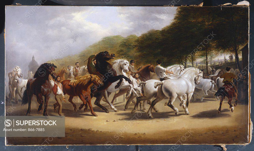 Stock Photo: 866-7885 The Horse Fair. John Charles Maggs (1819-1895), after Rosa Bonheur (1822-99). Oil on canvas, 61.2 x 107.1cm.