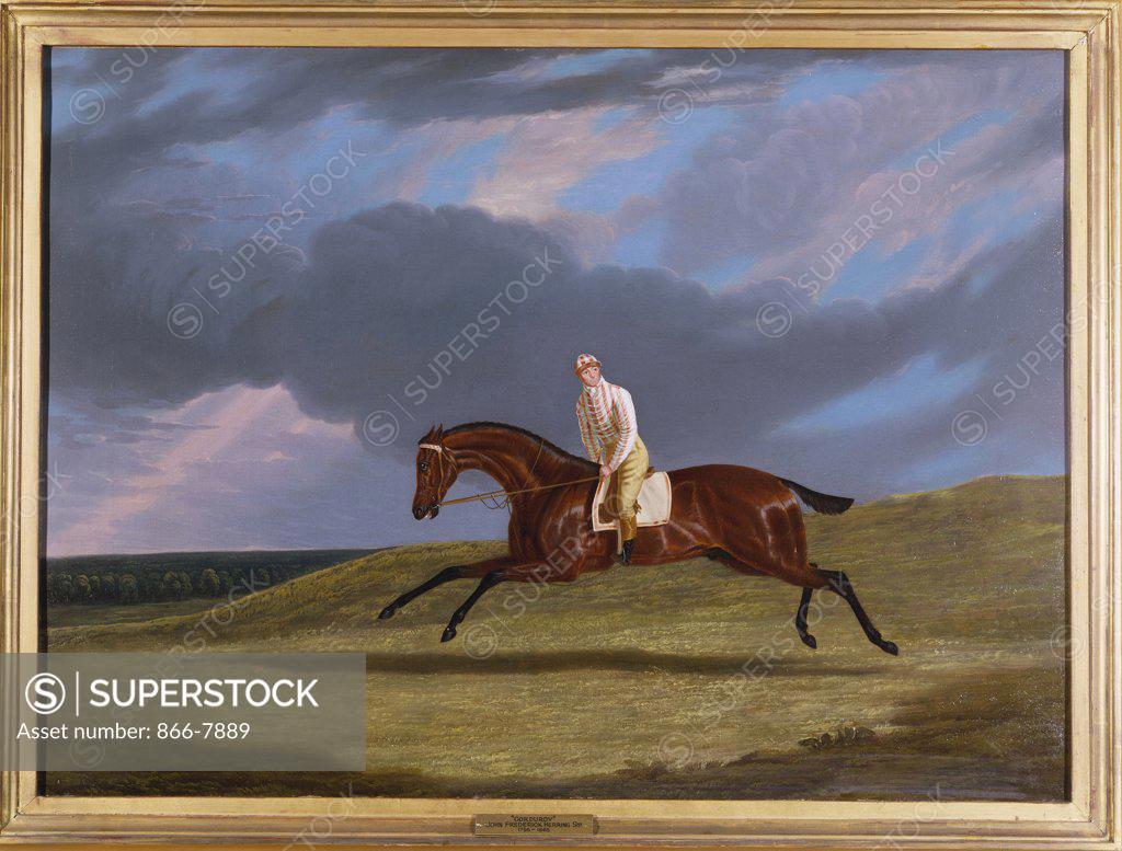 Stock Photo: 866-7889 Corduroy', a Bay Racehorse, with a Jockey Up, Galloping on a Racecourse. John Frederick Herring, Snr (1795-1865). Oil on canvas, 55.8 x 76.2cm.