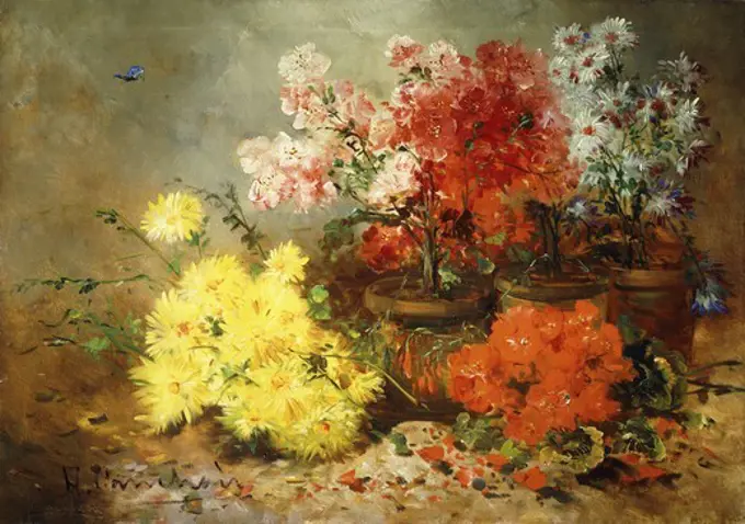 Daisies, Begonia, and Other Flowers in Pots. Eugene Henri Cauchois (1850-1911). Oil on canvas. 64.8 x 92.2cm.