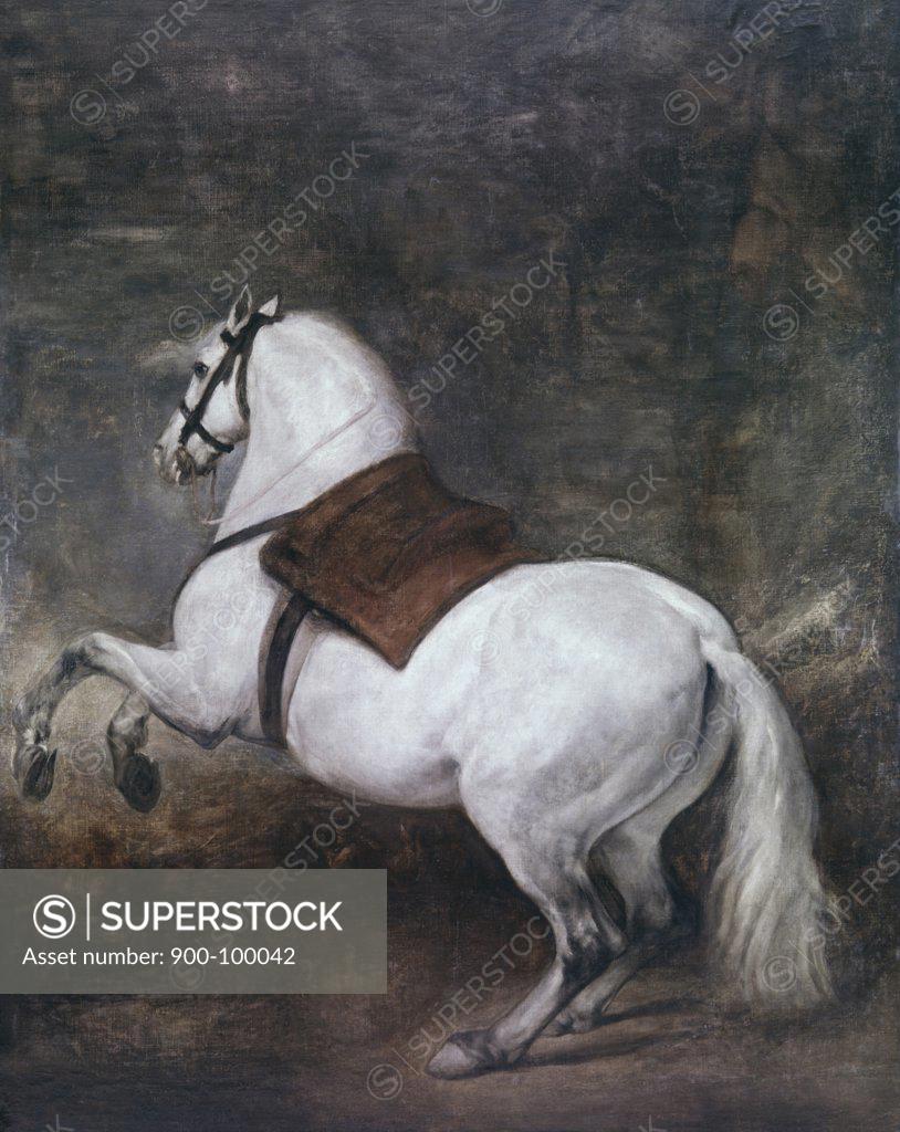 Stock Photo: 900-100042 A White Horse ca. 1634-35 Diego Velazquez (1599-1660 Spanish) Oil on canvas Palacio Real, Madrid, Spain