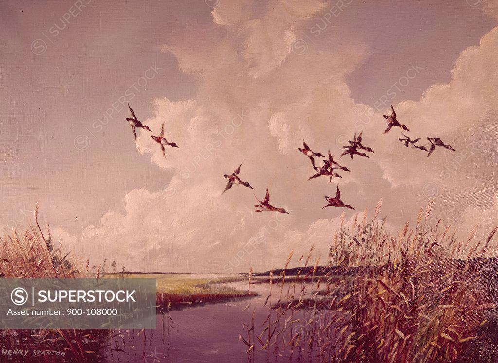 Stock Photo: 900-108000 Duck Flight by Henri Stanton,  painting