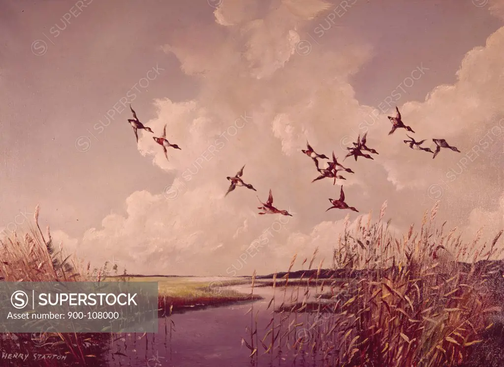 Duck Flight by Henri Stanton,  painting