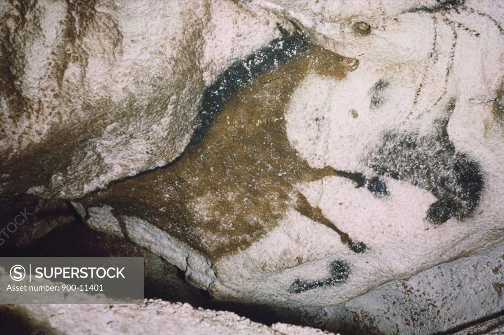 Stock Photo: 900-11401 Horse - Depth of Axial Corridor, Prehistoric Art, France, Lascaux Caves