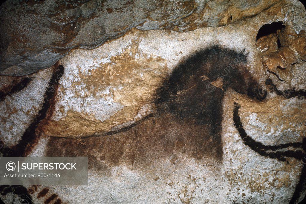 Stock Photo: 900-1146 Uncompleted Horse Lascaux Caves France