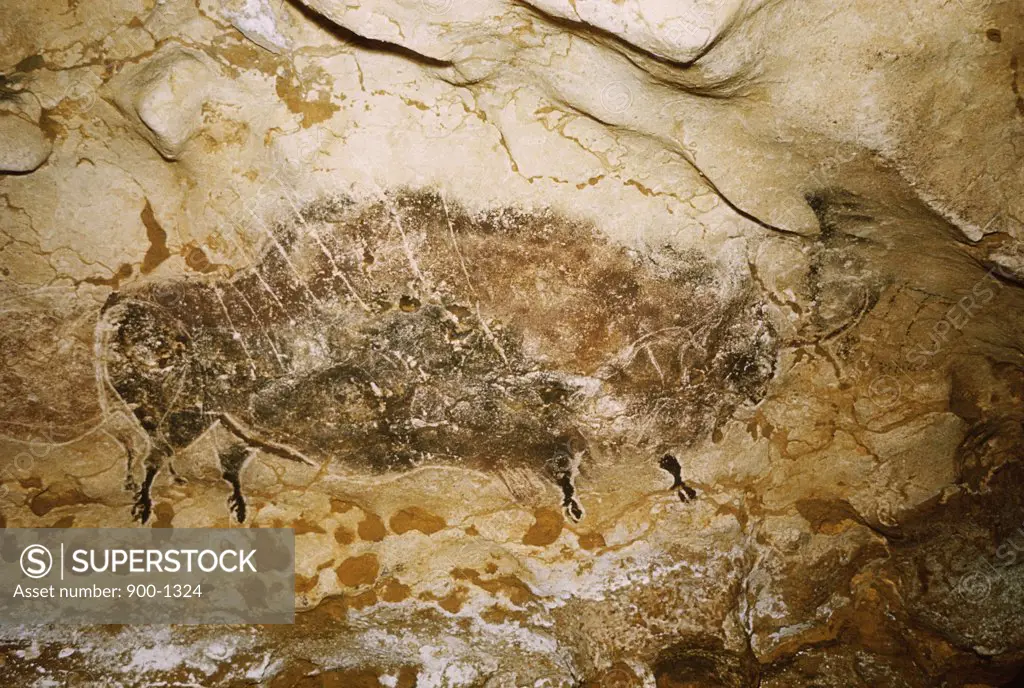 Bison with Seven Arrows Rock Painting Prehistoric Art Lascaux Caves, France