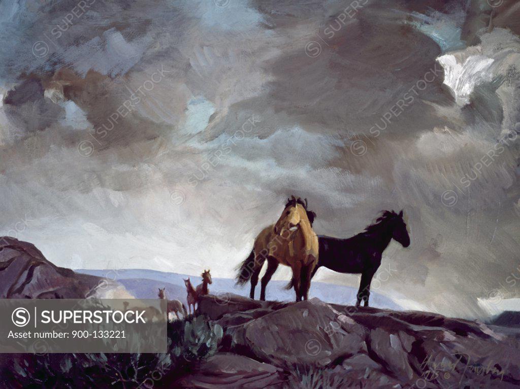 Stock Photo: 900-133221 Mustangs by Howard Forsberg, 20th Century
