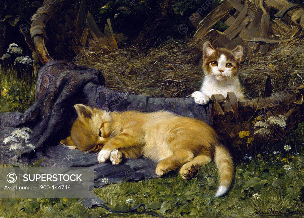 Stock Photo: 900-144746 Peaceful Kittens by Julius Adam,  painting