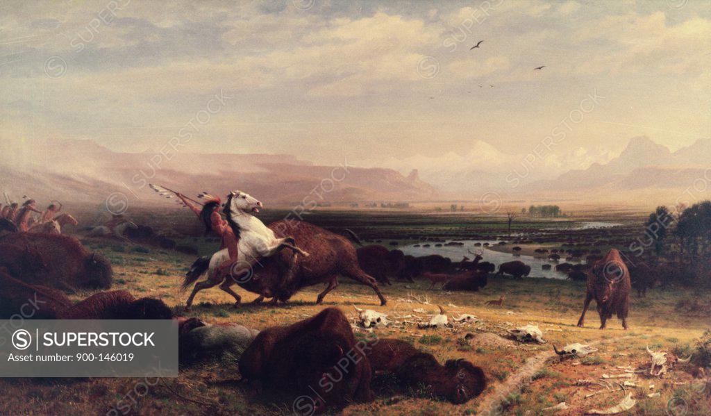 Stock Photo: 900-146019 Last of the Buffalo Albert Bierstadt (1830-1902/American)