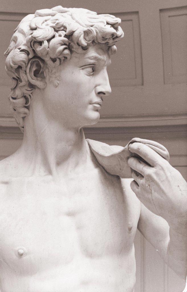 David-Detail, 1501-1504, Michelangelo Buonarroti, (1475-1564/Italian)
