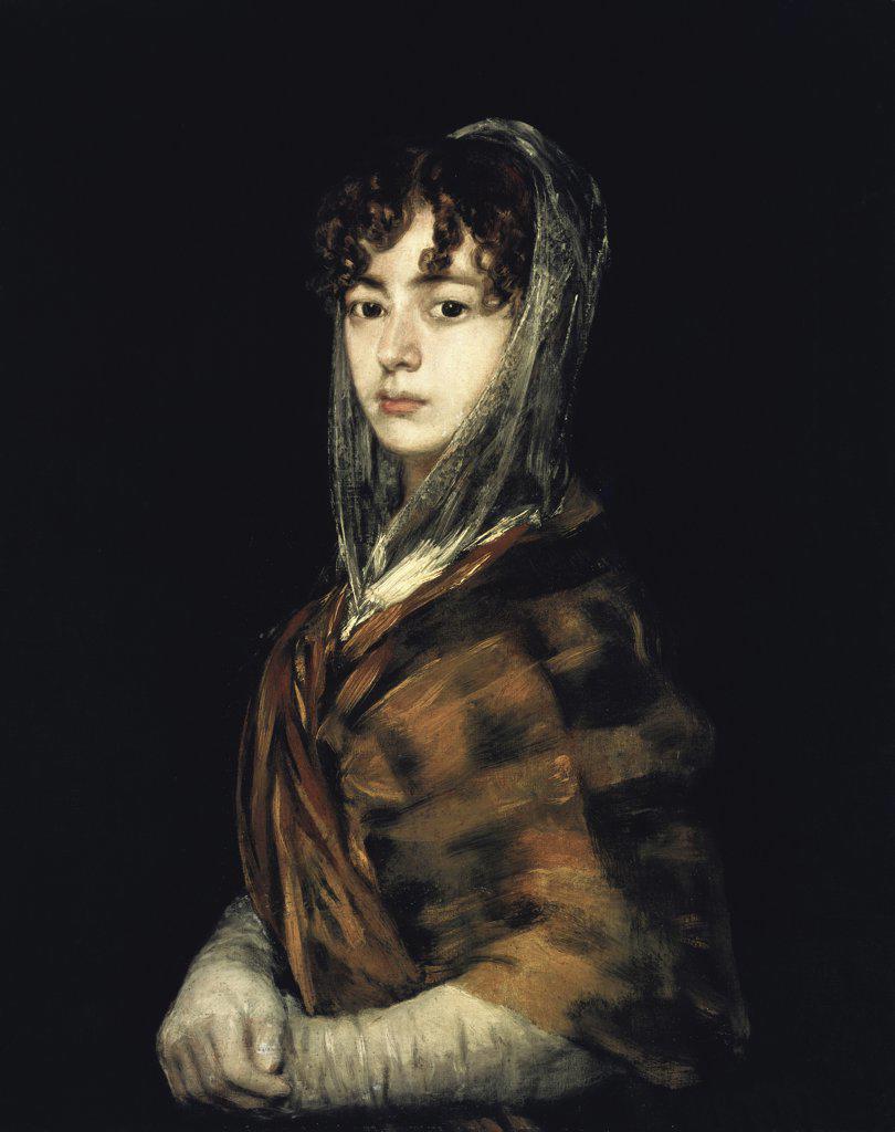 Senora Sabasa Garcia  ca. 1806-1811 Francisco Goya y Lucientes (1746-1828/Spanish)  Oil on canvas National Gallery of Art, Washington, D.C., USA 
