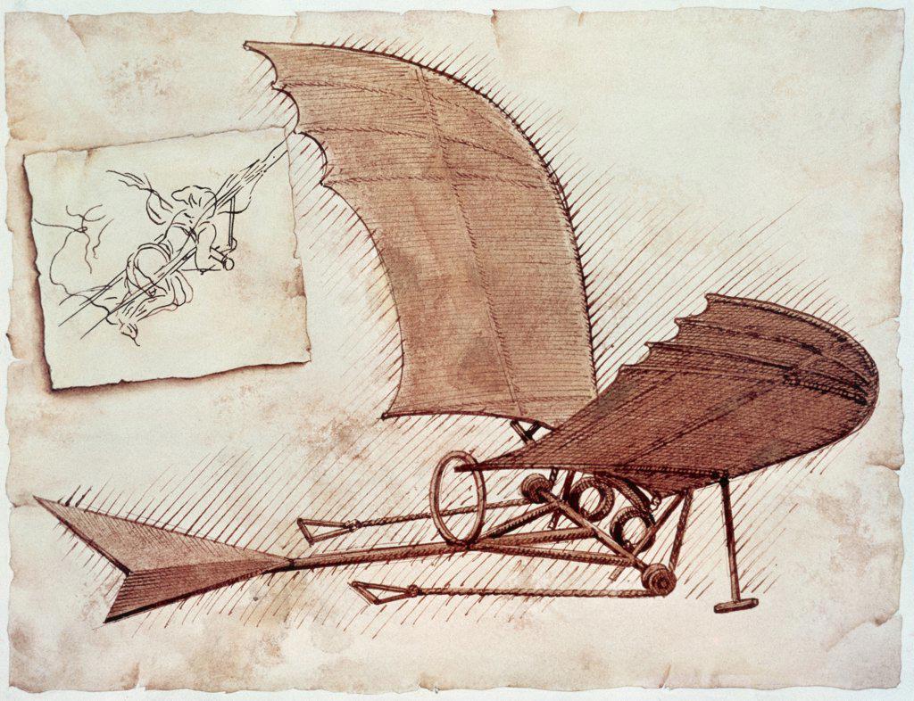 Flying Machine After Leonardo da Vinci Drawing