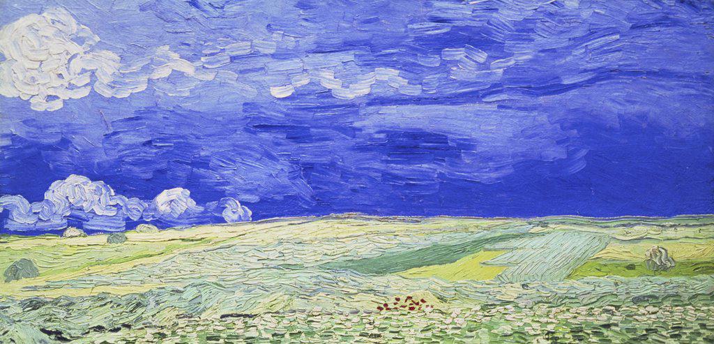 Field under a Stormy Sky 1890 Vincent van Gogh (1853-1890/Dutch) Oil on canvas Van Gogh Museum, Amsterdam 