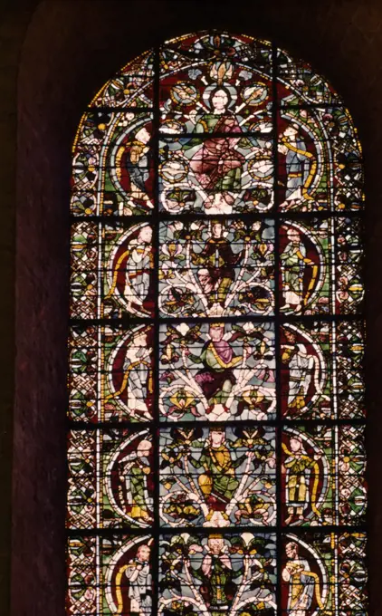 Genealogical Tree of Jesus, Stained Glass, Chartres Cathedral,  France