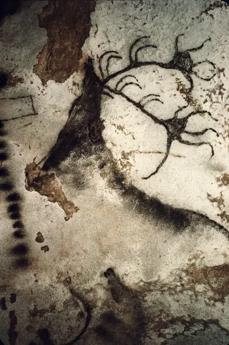Great Stag Prehistoric Art Lascaux Caves, France 