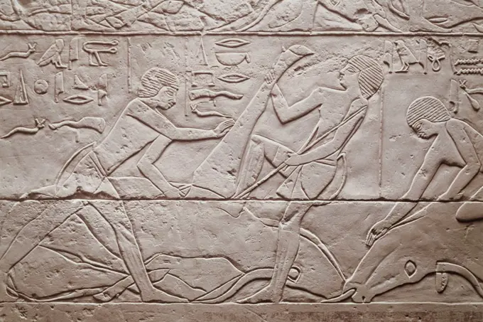 Slaughtering Scene  2250 BC Egyptian Art(- ) Relief Staatliche Museen Preussischer Kulturbesitz, (Agyptisches Museum und Papyrussammlung), Berlin