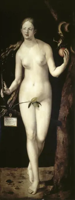 Eve  1507  Oil on wood panel  Albrecht Durer (1471-1528/ German)  Museo del Prado, Madrid 