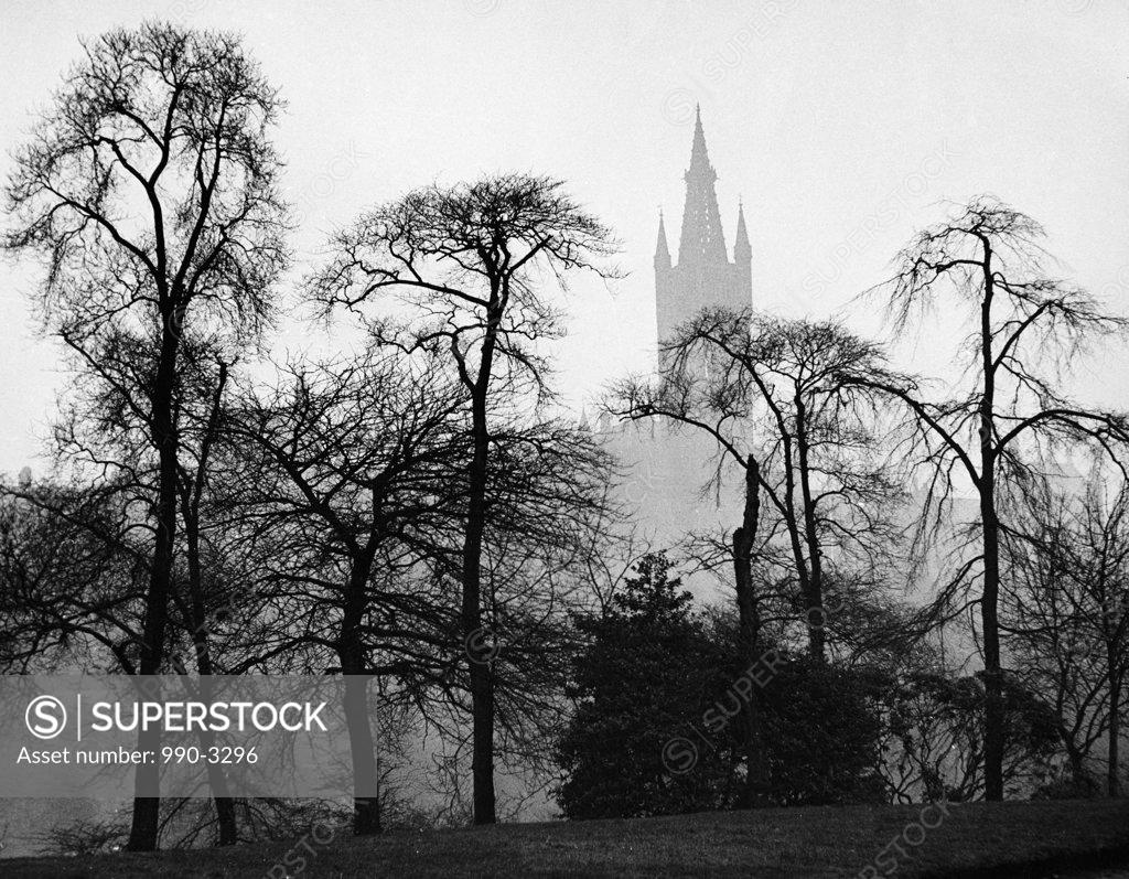 Stock Photo: 990-3296 Scotland, Glasgow, Glasgow University, silhouettes of trees on the foreground