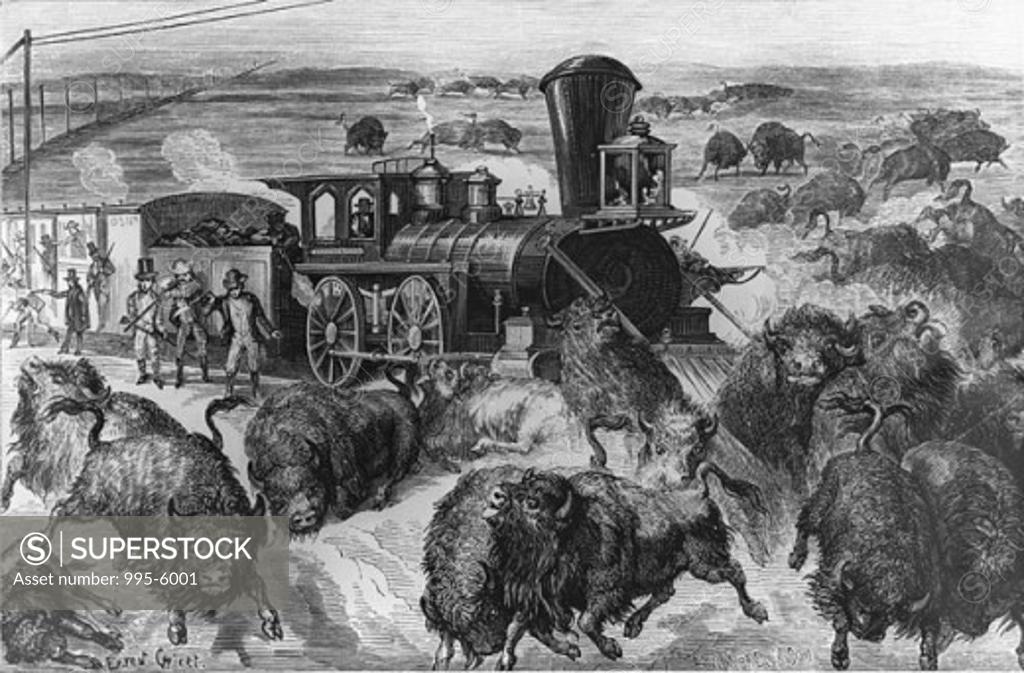 Stock Photo: 995-6001 Hunting Buffalo from a Railroad Train Artist Unknown 